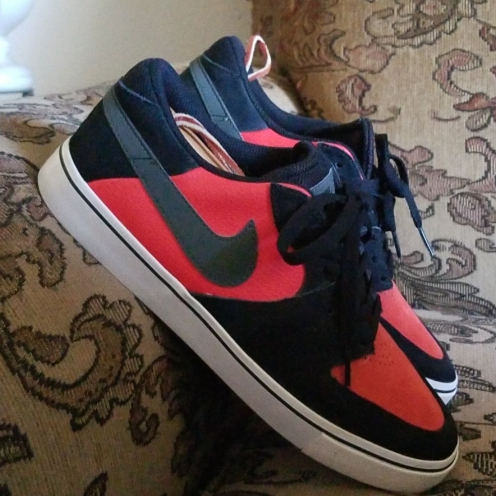 Mens skateboarding nike shoes